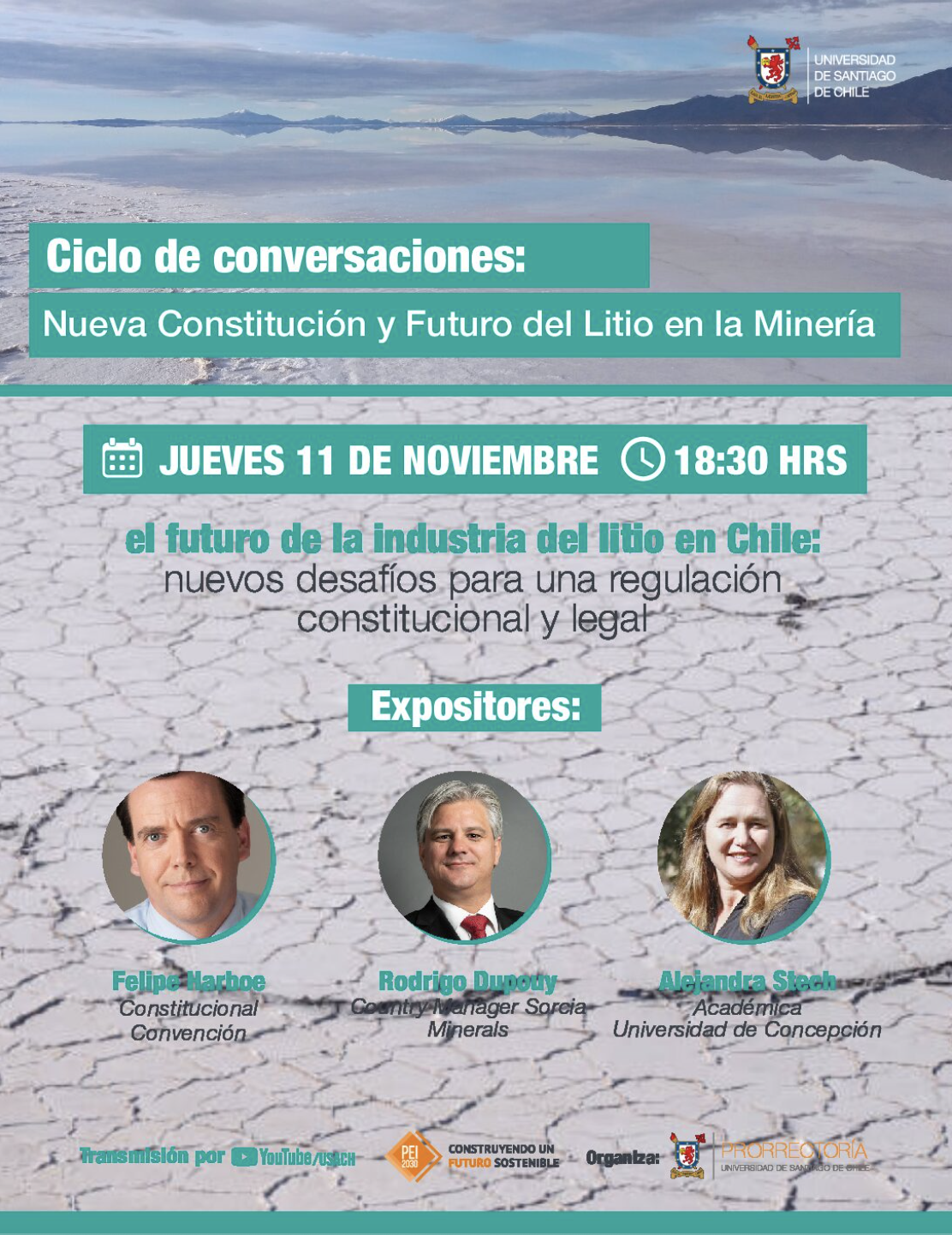 El Futuro de la Industria del Litio en Chile, Regulación Constitucional y Legal 